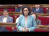 Marta Rovira invoca el 81.3 de la llei del Parlament