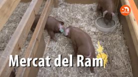 Mercat del Ram 2019 (Part 2) – Benjamí Dòniga, Casa de Pagès i opinions de visitants