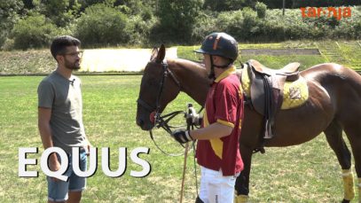 Equus – Programa 2
