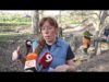 La sequera modifica les dades de contaminació de les fonts d’Osona