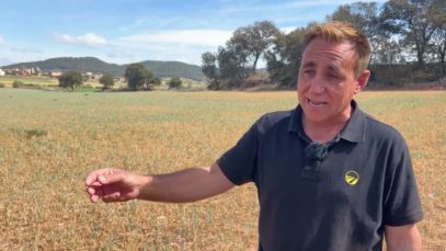 Adéu al 80% de la collita, com a mínim