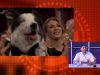 El Termòmetre 15 de març del 2024 – Resum dels Premis Oscar i repàs d’actualitat