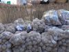 Tot a punt per la 31a edició del Mercat de les Patates del Bufet d’Orís