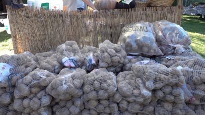Tot a punt per la 31a edició del Mercat de les Patates del Bufet d’Orís