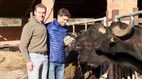 La formatgeria moianesa Montbrú, guanya la medalla d’or al millor formatge de Búfala