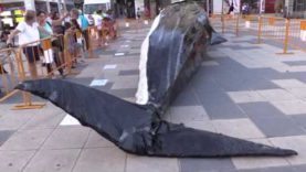 JCI Igualada constueix una balena amb residus plàstics a Cal Font per conscienciar sobre la contaminació al mar