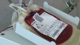 Igualada participa en el Dia Mundial del Donant de Sang