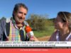 Alta afectació de la sequera als camps de la comarca de l’Anoia