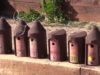 Els ocells han niat en la meitat de caixes niu instal·lades a Igualada