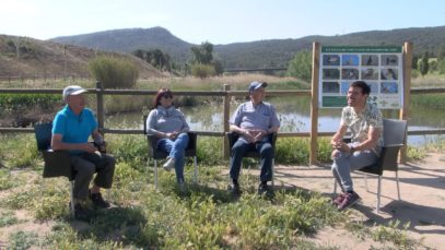 La vida a l’Anoia després d’emigrar d’Andalusia i Extremadura