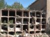 Profanen totes les tombes d’un cementiri abandonat a Aguilar de Segarra