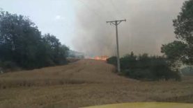 Un incendi crema 18ha a Pujalt i els Bombers mobilitzen més de 35 dotacions per controlar-lo