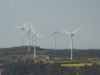 Els principals reptes pels nous alcaldes i alcaldesses de l’Anoia pel mandat 2023-27