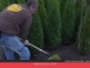 Canvi de temporada al Garden Cal Tino de Cabrera d’Anoia