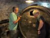 Cat Patrimoni geolocalitza més d’un centenar de ceps per posar en valor les antigues vinyes de l’Alta Segarra