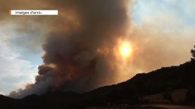 Rotary Club Igualada contribueix a la reforestació de Bellprat després de l’incendi