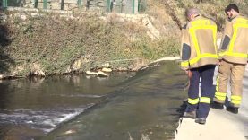 El robatori d’una canonada provoca el vessament de 20 mil litres de gasoil al riu Anoia