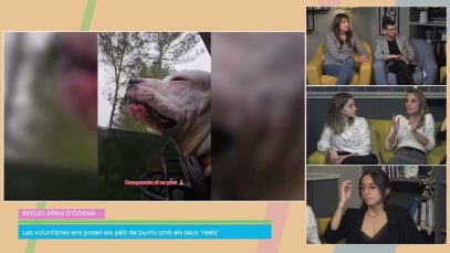 Promoure les adopcions d’animals a Instagram, la tasca dels Amics Refugi APAN d’Òdena