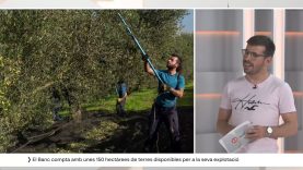 El Parc Agrari de la Conca d’Òdena crea un banc de terres per recuperar l’agricultura local