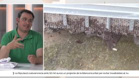 L’Ajuntament d’Igualada explica les accions que cuidar el riu Anoia