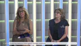 L’Ajuntament d’Igualada promou el cens de gossos i reparteix ampolletes per netejar l’orina