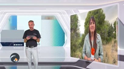 Un ramat ajuda a fer el manteniment de les franges perimetrals als Hostalets de Pierola
