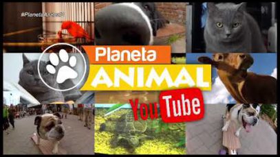Planeta Animal – 17/1/2018