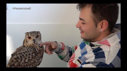 Planeta Animal 3 – El mussol Mau, Gepork i la gossa Noa