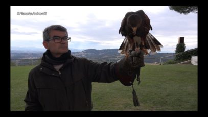Planeta Animal 6 – El gos Rayo, el Cim d’Àligues i l’hotel Caní Can Vilà