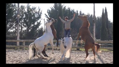 Planeta Animal 7 – Les rates de l’Alison, el domador de cavalls Santi Serra i el gos pigall Lino