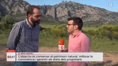 El Bruc restringeix el trànsit als peus de Montserrat per la massificació de vehicles de visitants
