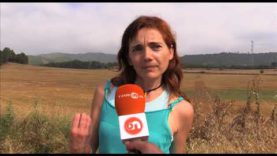 Pagesos per la República, Agents Rurals per la República i Artistes de la República s’han unit per la nova campanya d’ANC de llaurar els camps amb símbols de la República catalana