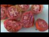 La Gran Tumakada clou a Can Poc Oli la Festa del Tomàquet del Bages
