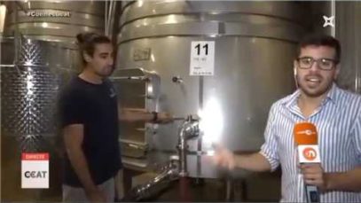 Els cellers del Bages demanen ajuda per protegir les vinyes de la fauna