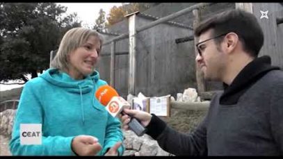 El Zoo del Pirineu a Odèn