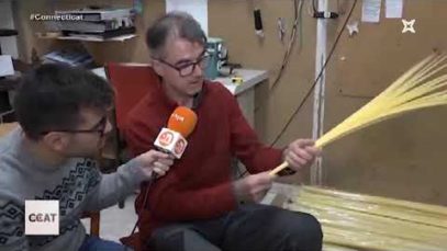 A Solsona fan palmes per Diumenge de Rams