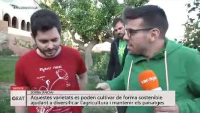 Espècies silvestres comestibles a l’Anoia