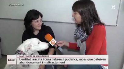 Galgos 112 a les escoles