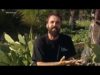 Als 4 vents – El projecte Ben Plantats de Veciana