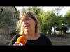 Cases rurals que admeten gossos