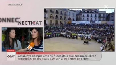 Animalistes i taurins al Correbous de Cardona