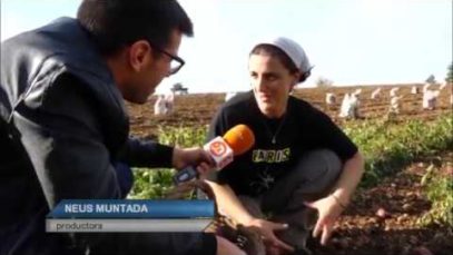 Al dia – 14/11/2019