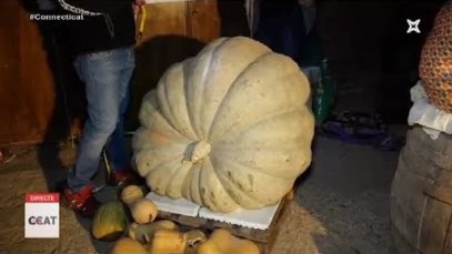 Les carbasses gegants de Calaf