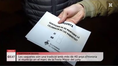 Santpedor decideix eliminar les vaquetes