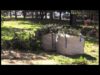Tractament de la processionària a Manresa