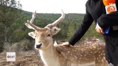 Reserva d’animals salvatges a Aguilar de Segarra
