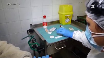 Connecti.cat – 60 manresans participen en l’estudi del Ministeri per saber si han creat anticossos