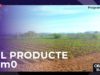Objectiu Bages 13- El producte Km0