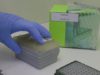 Un biofísic manresà resident a Oxford, en busca de la vacuna contra la COVID-19