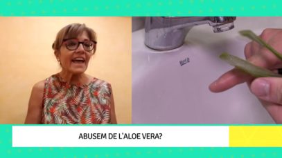 Àloe Vera, la planta màgica | Objectiu Bages d’Estiu